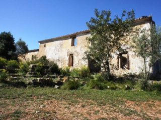 Benidoleig Finca Rústica con Casa Ruina