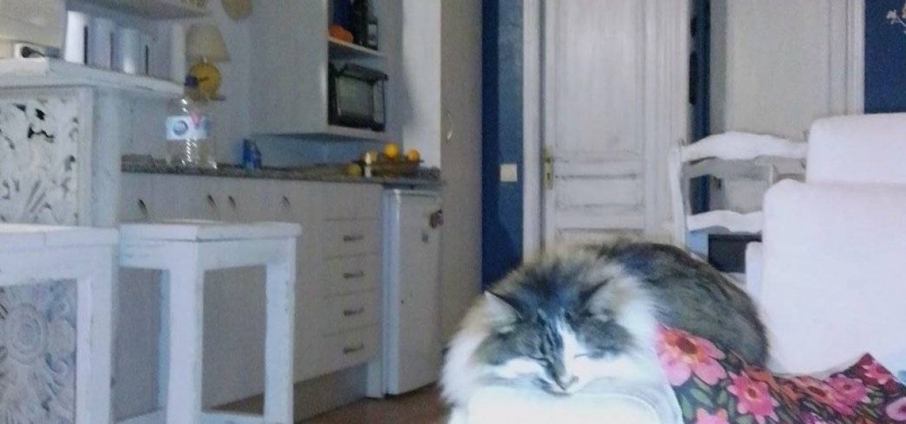 Casa-de-campo-con-casa-de-piedra-para-invitados-21