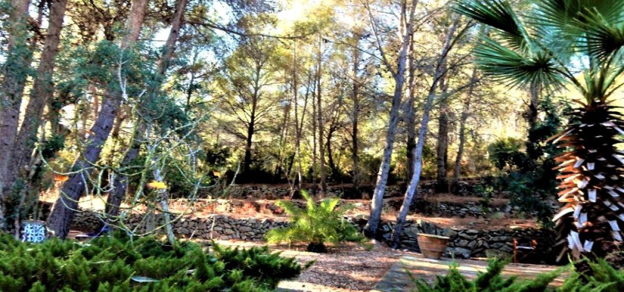 Finca-con-gran-parcela-en-La-Sella-17